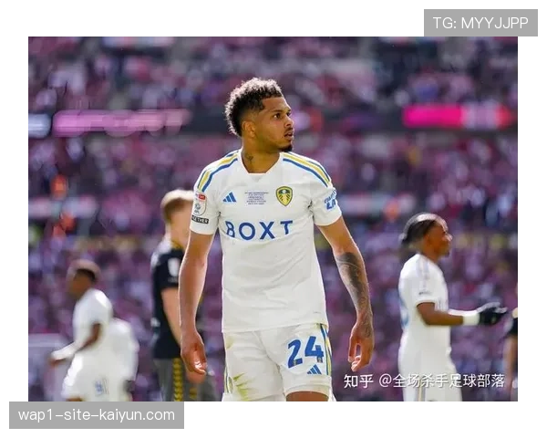 利兹联对阵桑德兰 两队演绎传统英冠风格对决