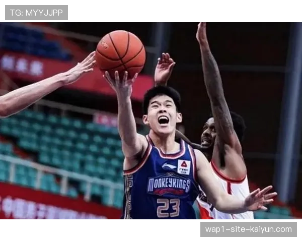 南京同曦林葳成唯一亮点 俱乐部投入决定保级前景