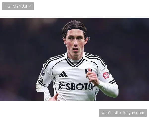 富勒姆边锋哈里威尔逊数据亮眼，预计引发多支强队争抢